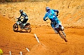 _DSC5981 (1)